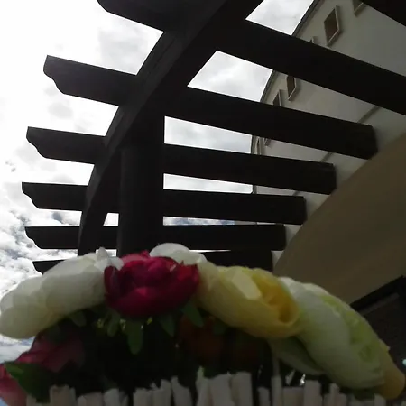 Salento Seahouse 別荘 *